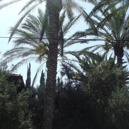 Lisa'S Farm Place Rishon LeZion Quarto foto