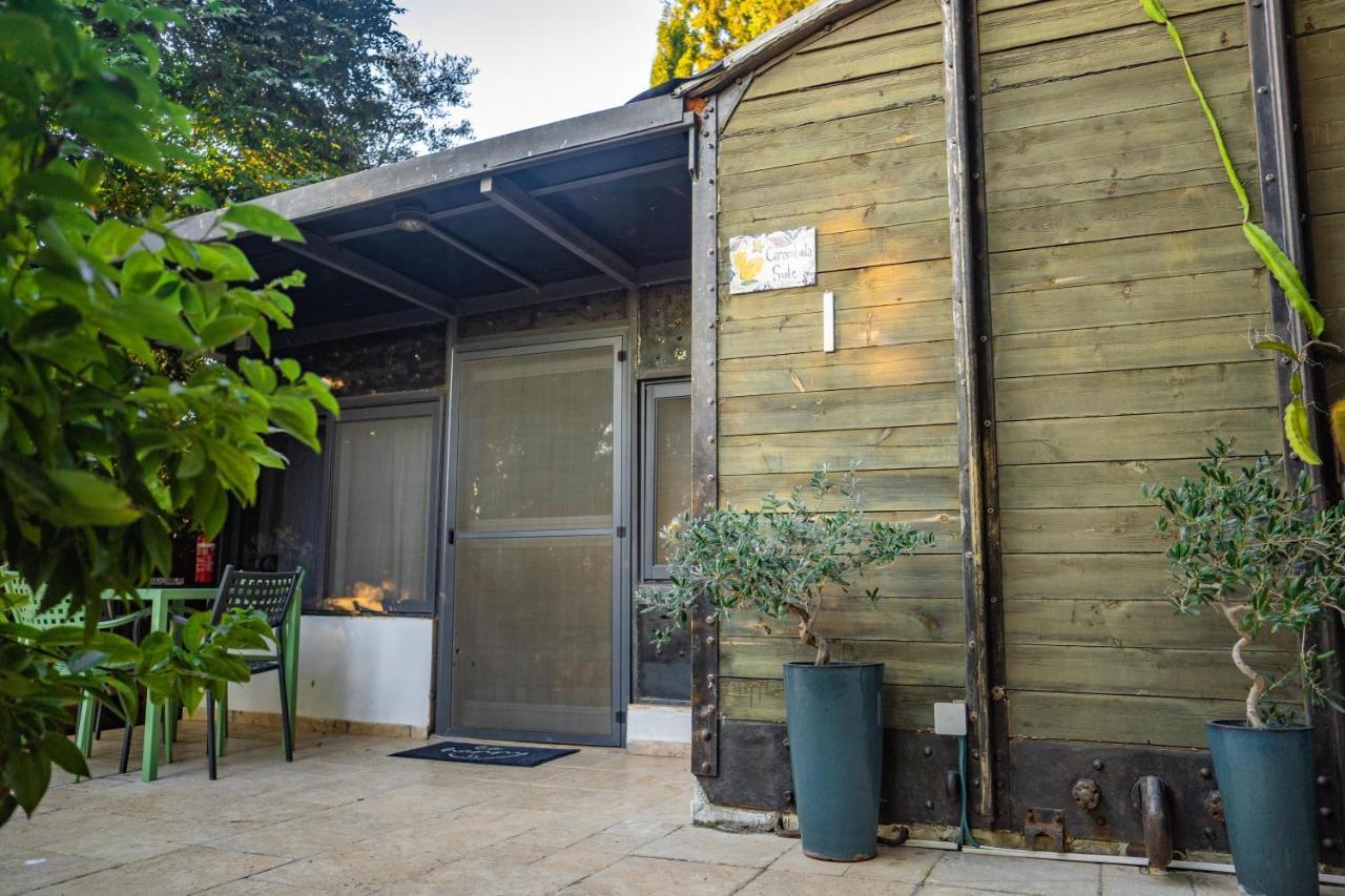 Lisa'S Farm Place Rishon LeZion Exterior foto