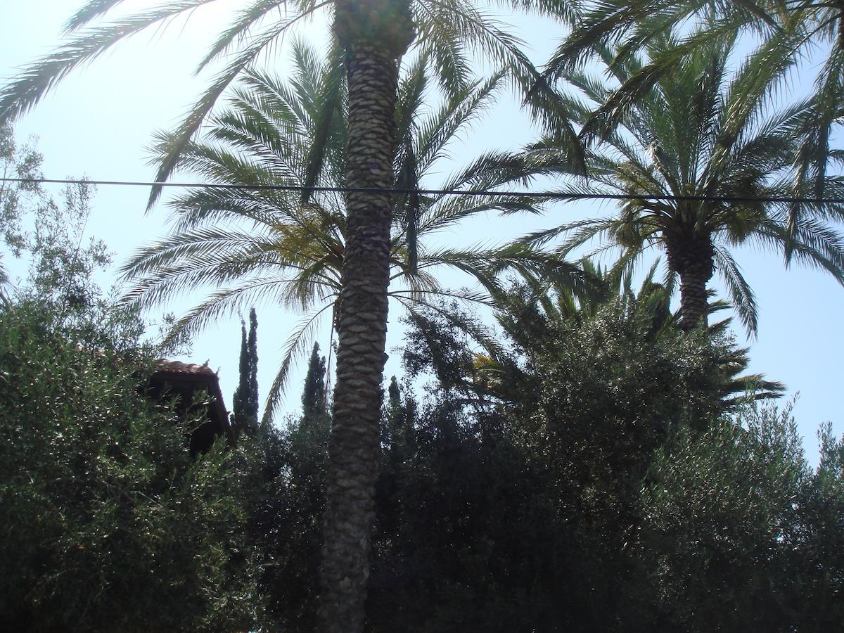 Lisa'S Farm Place Rishon LeZion Quarto foto